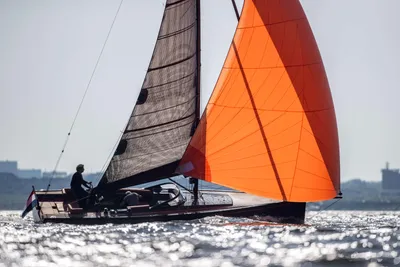 2026 Saffier SE 33 Life