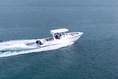 Crevalle 33 CSF
