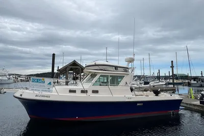 Albin 28 Tournament Express