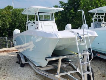 Twin Vee 260 GFX