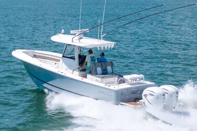 2022 Regulator 31