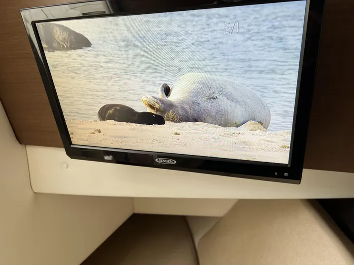  Yacht Photos Pics TV screen displaying a seal on a beach inside a 2016 Sea Ray 350 SLX boat.
