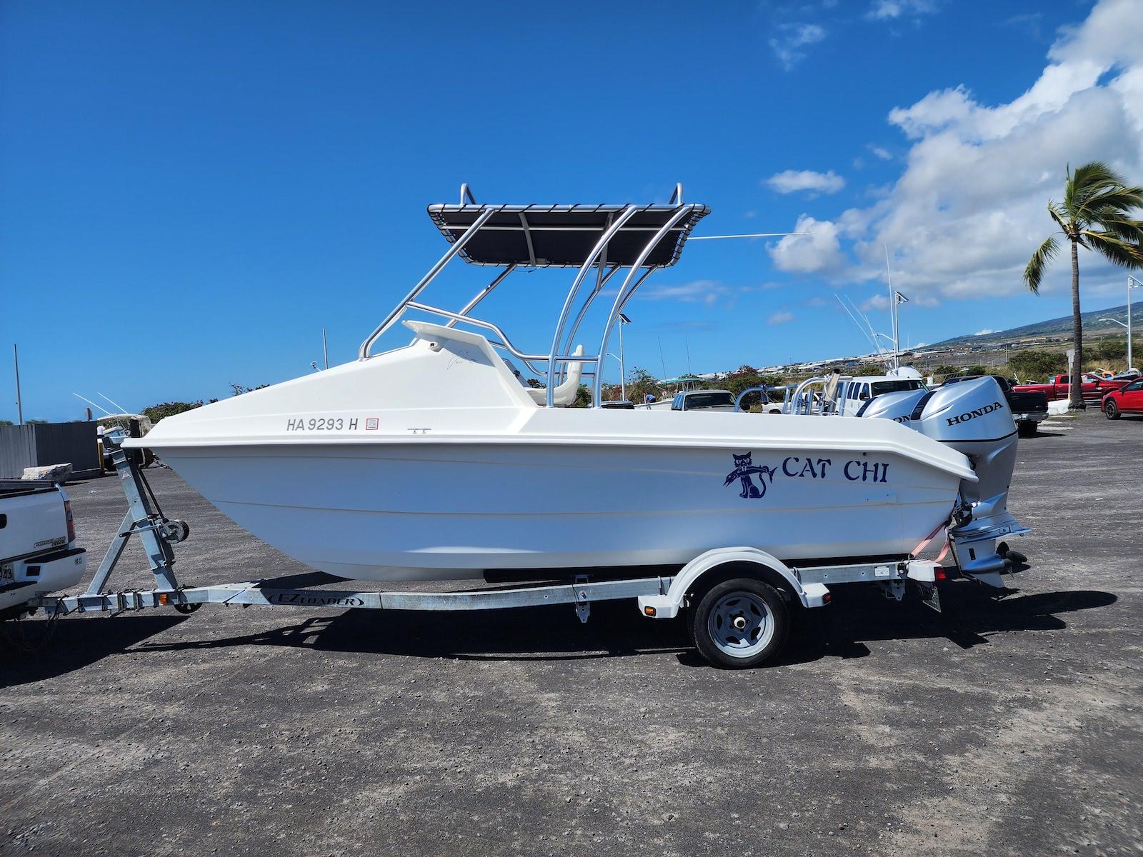 2017 Powercat 18 Tern Power Catamaran for sale YachtWorld