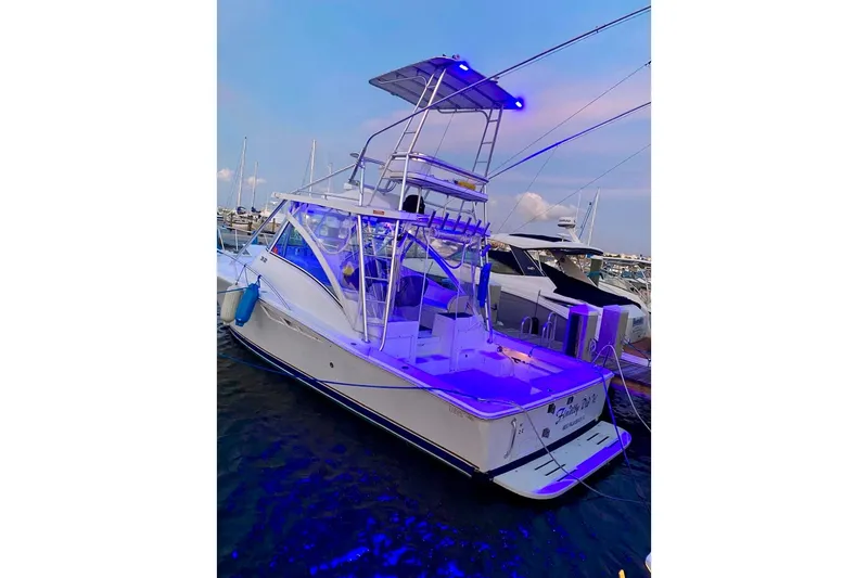  Yacht Photos Pics 2002 Luhrs 32 Open boat docked with blue LED lights at sunset.
