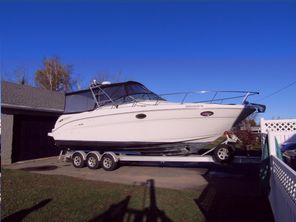 Sea Ray 290 Amberjack