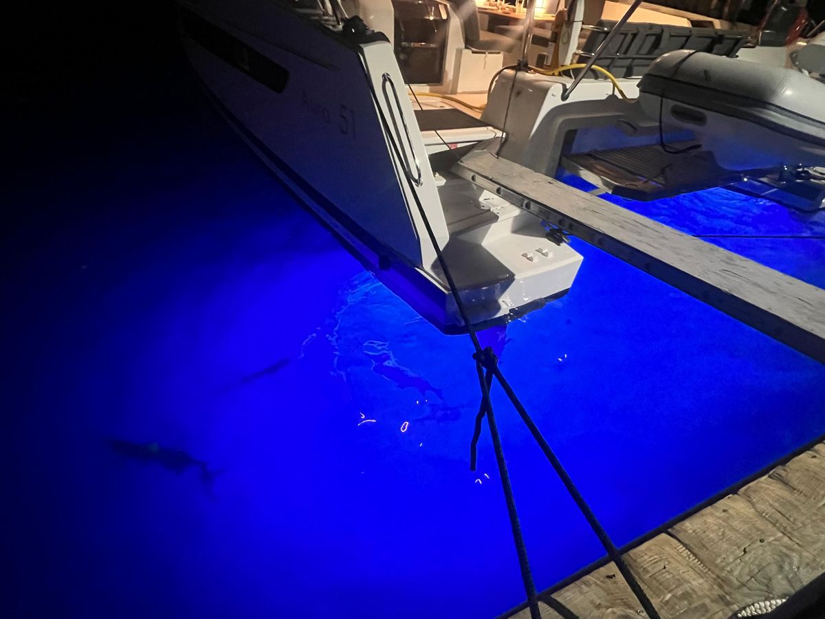 2022 Fountaine Pajot 51 