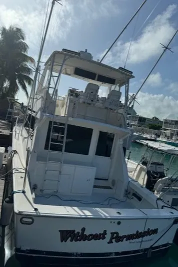  Yacht Photos Pics 1998 Viking 43 Convertible yacht docked at marina, palm tree in background.