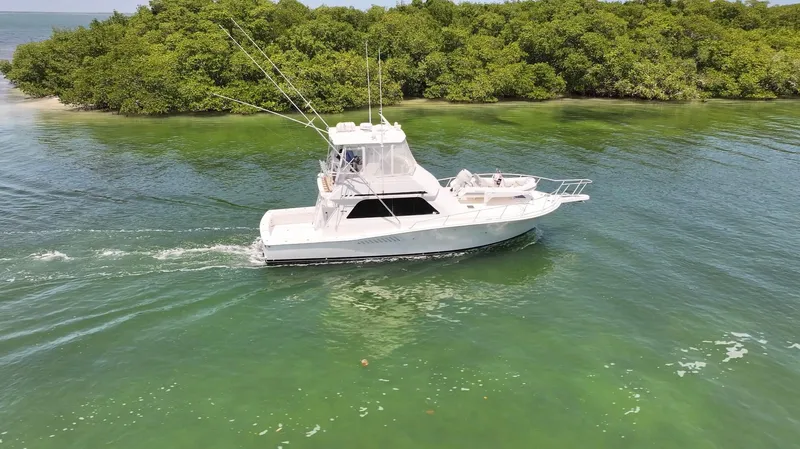  Yacht Photos Pics A 1998 Viking 43 Convertible yacht cruising in clear green waters near lush mangroves.