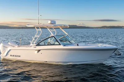 Blackfin 252 DC
