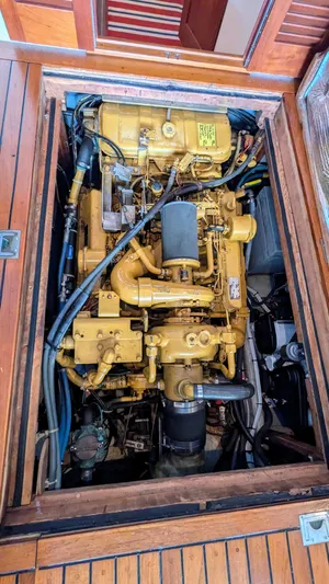 Safari Yacht Photos Pics 