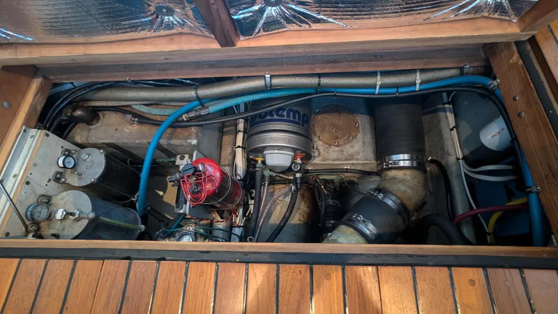 Safari Yacht Photos Pics 