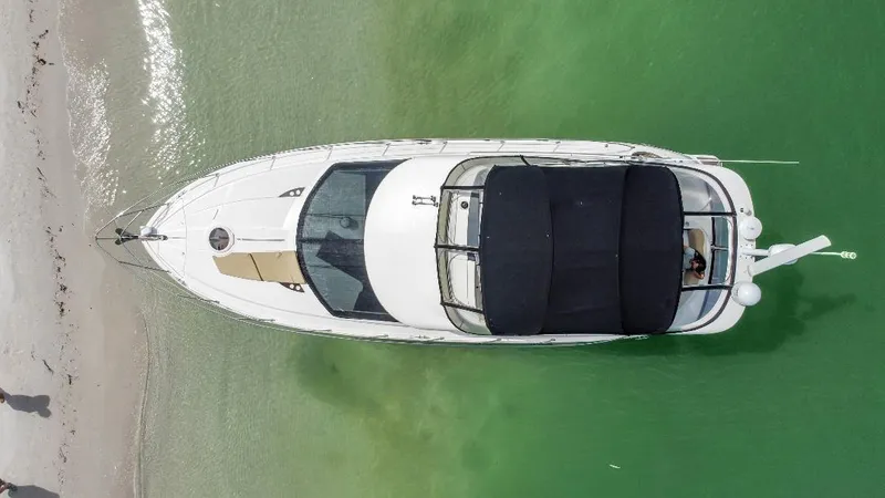 Panache Yacht Photos Pics Aerial view of 2016 Meridian 391 Sedan yacht on green water near sandy shore.