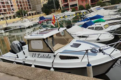 1986 Ocqueteau Alienor 6,20
