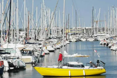 1974 Mallard Ecume De Mer