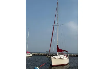 Island Packet 31