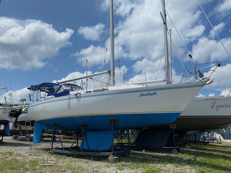 cs 33 sailboats for sale