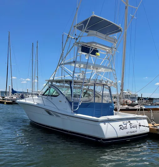 Reel Busy Yacht Photos Pics 