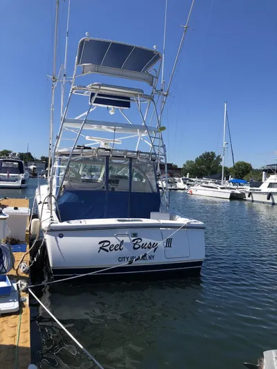 Reel Busy Yacht Photos Pics 