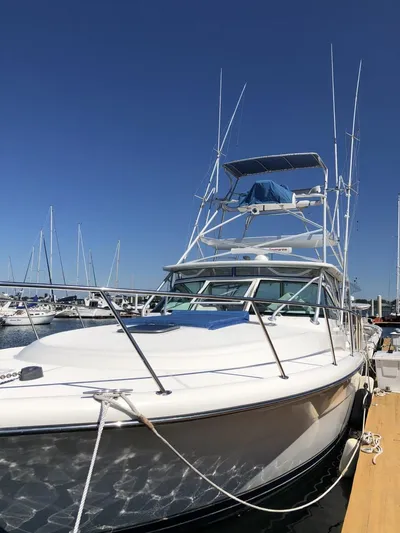 Reel Busy Yacht Photos Pics 