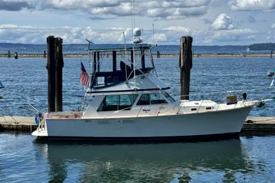 Tollycraft 37