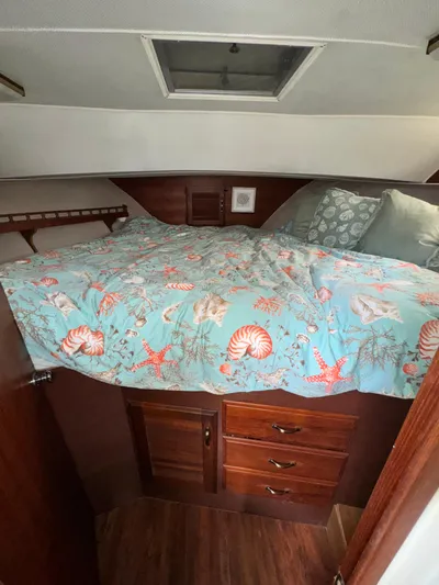 Ocean Bliss II Yacht Photos Pics 