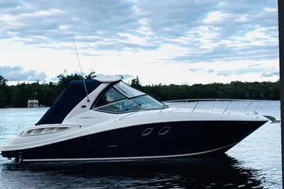 Sea Ray Sundancer 310