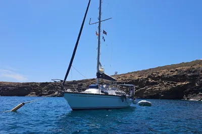 1978 Taylor Dufour 31