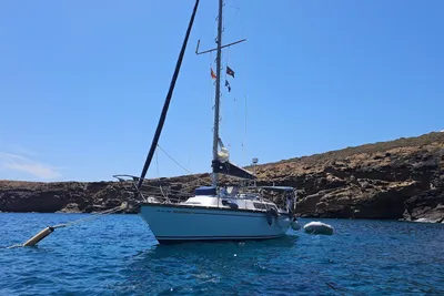 1978 Taylor Dufour 31