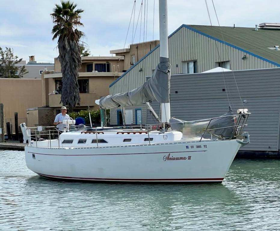 freedom 36 sailboat for sale