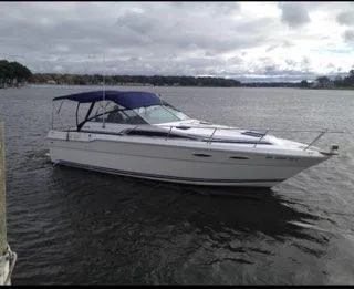 Sea Ray 300 Weekender