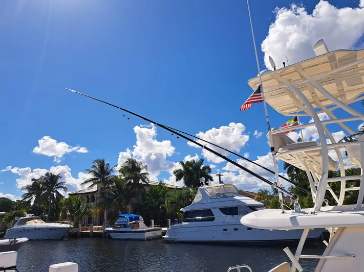 The Reel Deal Yacht Photos Pics 2016 Boston Whaler 420 Outrage docked, with clear blue sky and palm trees in the background.