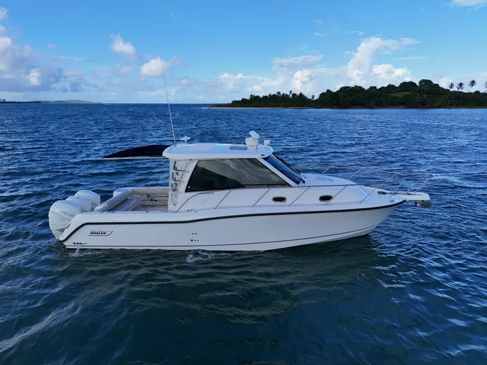 Del Mar Yacht Photos Pics 2015 Boston Whaler 345 Conquest boat on open water, scenic island backdrop.