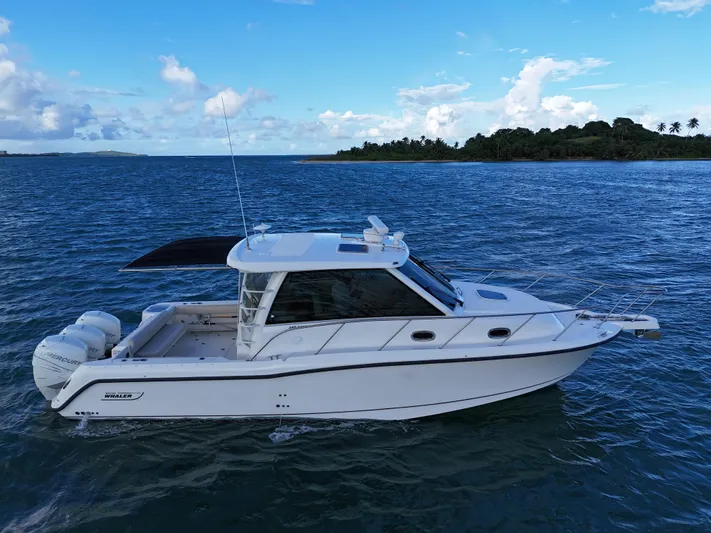 Del Mar Yacht Photos Pics 2015 Boston Whaler 345 Conquest boat on open water near an island.