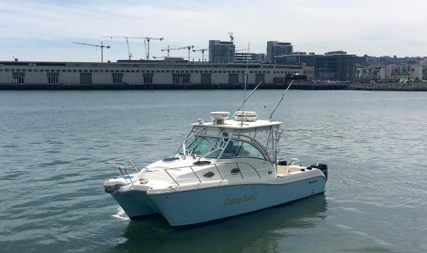 2009 World Cat 290EC