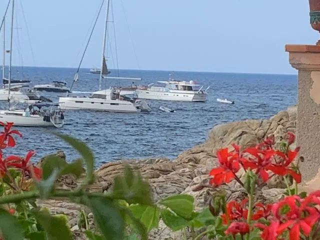  Yacht Photos Pics Boats anchored near rocky shore with vibrant red flowers in foreground, featuring a 1965 Feadship CARAVELLE 23.