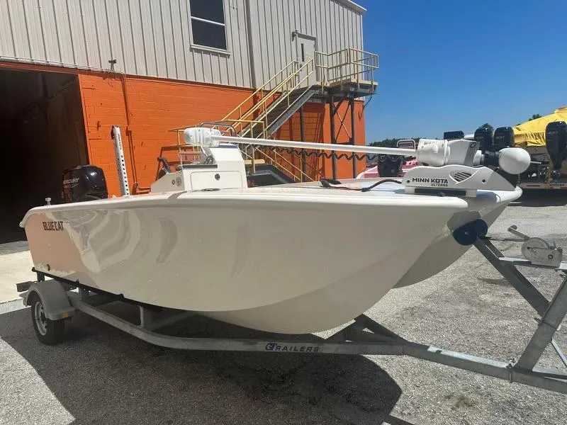 2024 BlueCat 17 Power Catamaran for sale YachtWorld