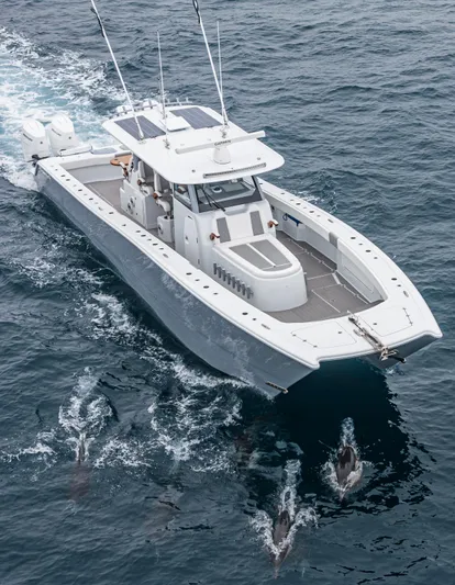  Yacht Photos Pics 2024 Freeman 47 boat cruising with dolphins in open ocean.