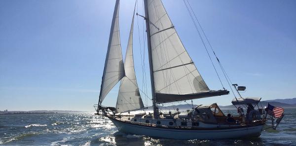 1982 Shannon Cuttter