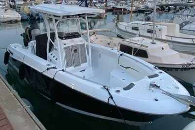 2020 Wellcraft 242 Fisherman