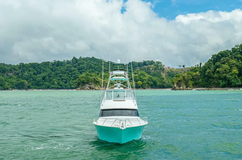 Profishent Yacht Photos Pics 