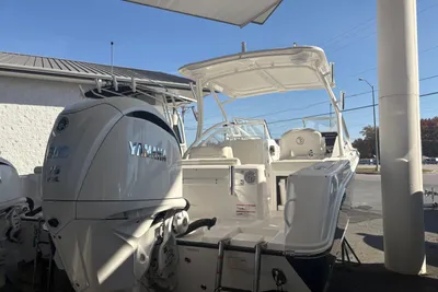 Edgewater 248 CX