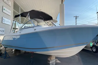 Cobia 220 DC
