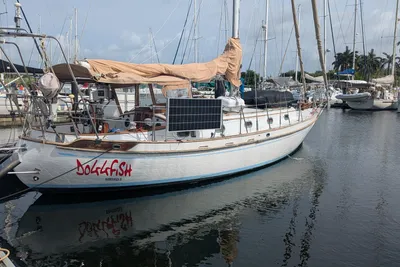 Tayana 37