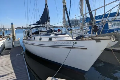 Kelly Peterson 44