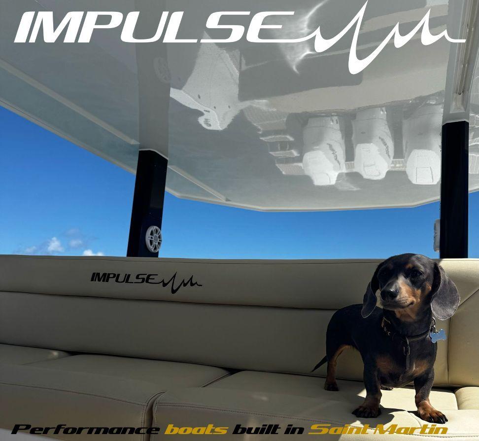 Dachshund on Impulse 43 S boat, Saint Martin, 2025 model, clear sky background.