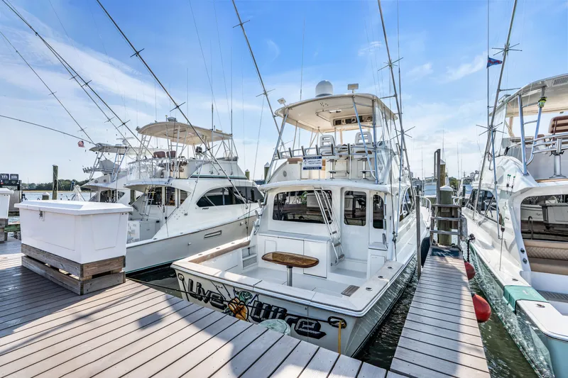 Live Wire Yacht Photos Pics 