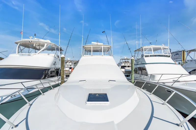 Live Wire Yacht Photos Pics 