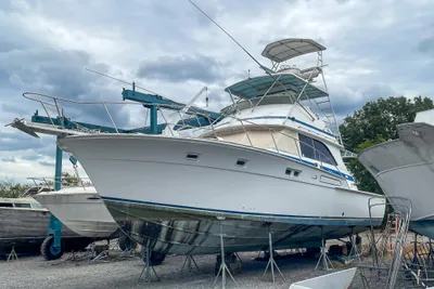 Bertram 46 Convertible