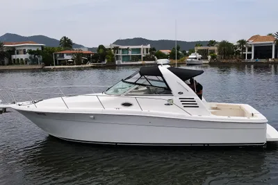 Sea Ray 340 Amberjack