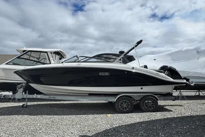 Sea Ray SPX 210 Outboard